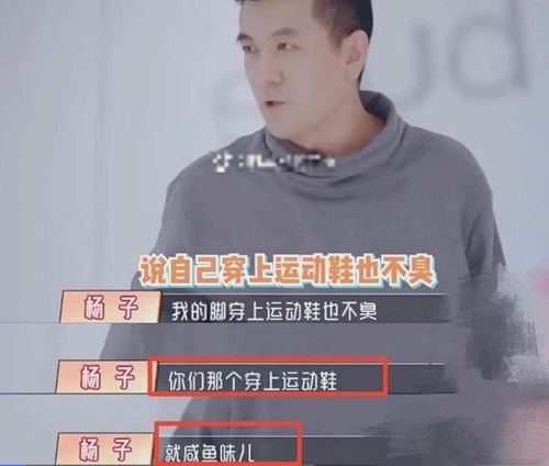 杨子直播间回应近期争议